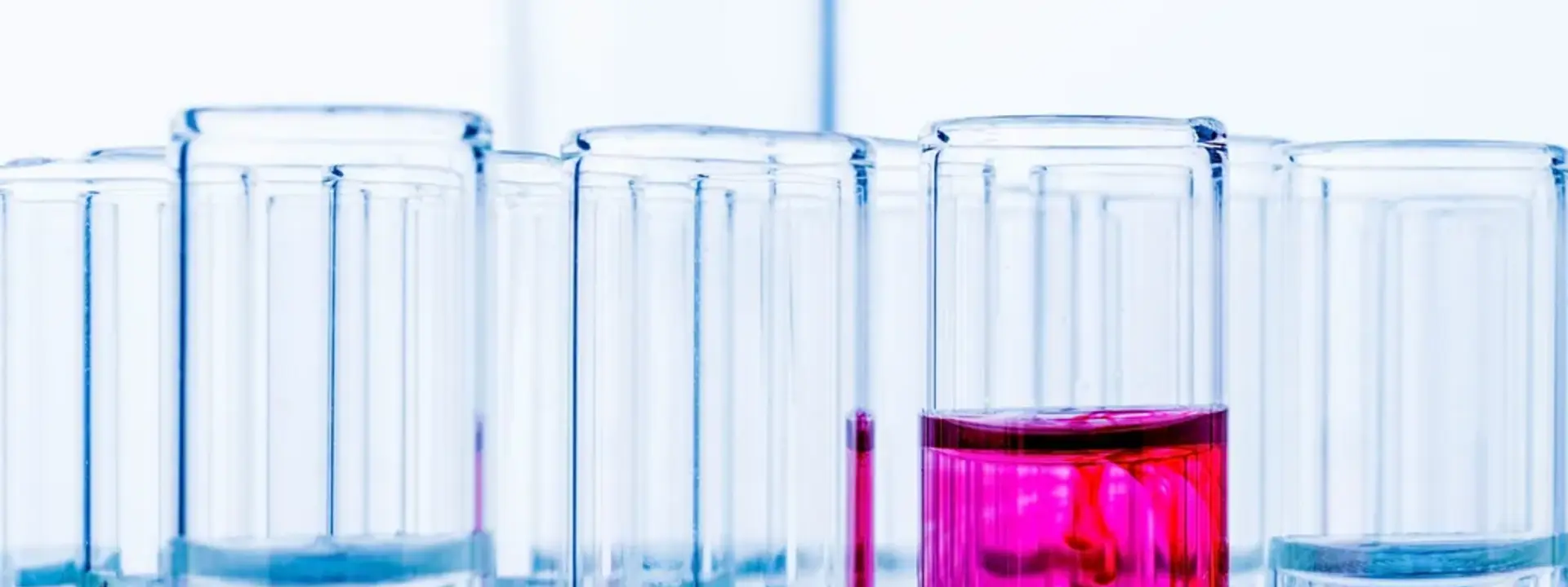 Reagenzgläser mit Flüssigkeit in der Chemieindustrie